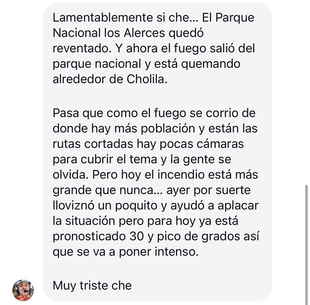 Lucas Fridman tweet media