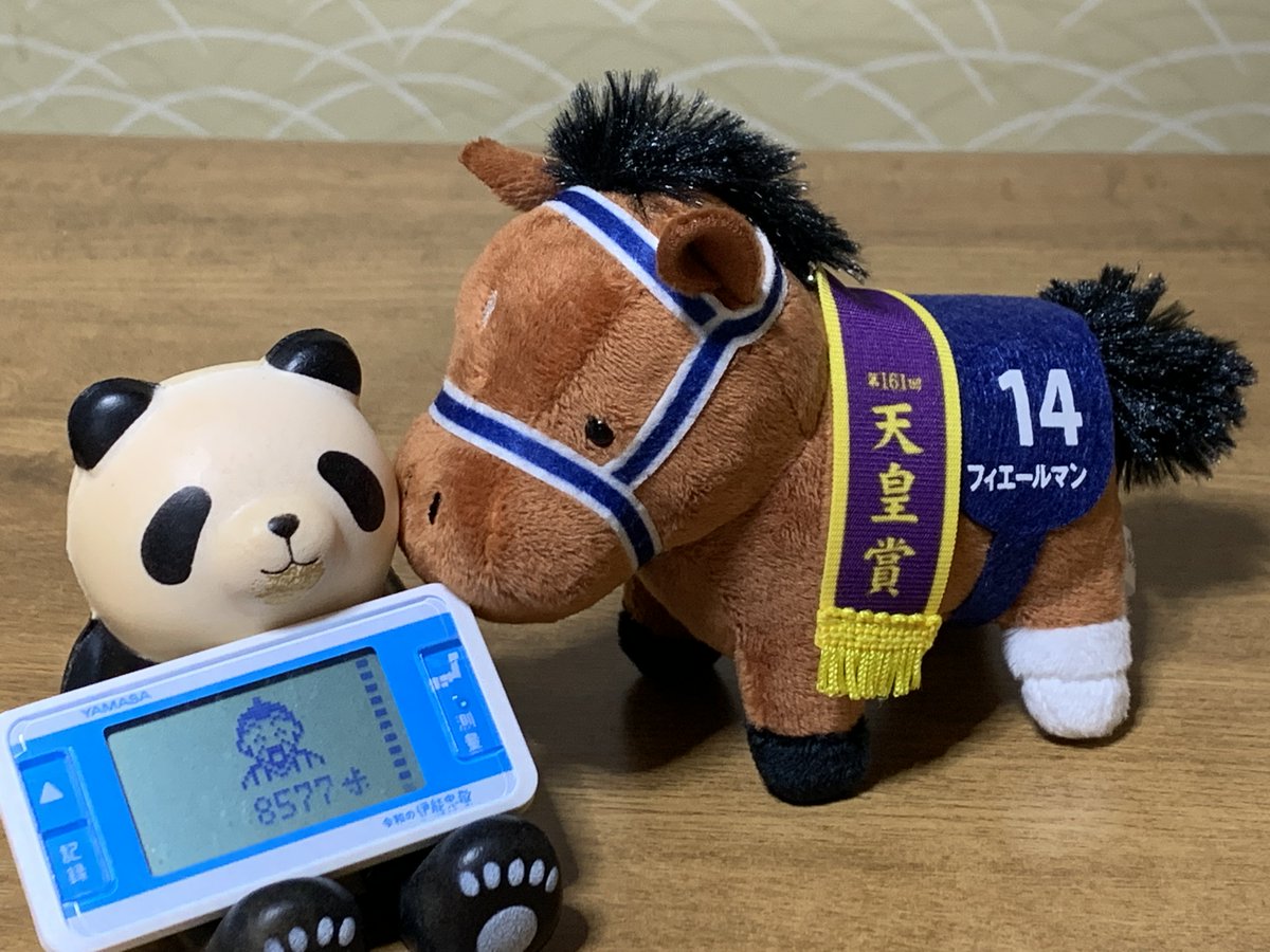 ぴぃちゃん7974 (@chanchan346668) / Posts / X