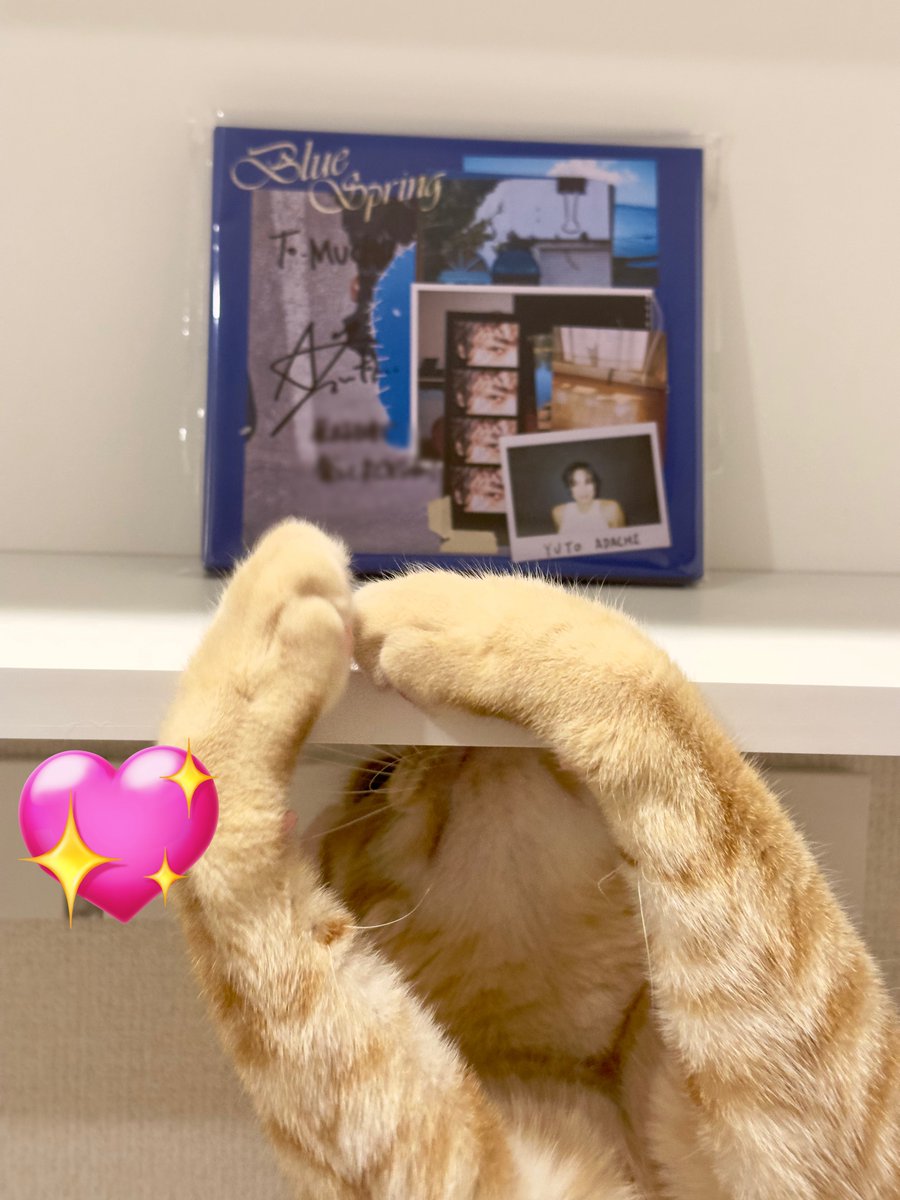 muchu0911's tweet image. 届いた！！ 嬉しいありがとうございます💛

@AYUTO_official #BLUESPRING #リミスタ