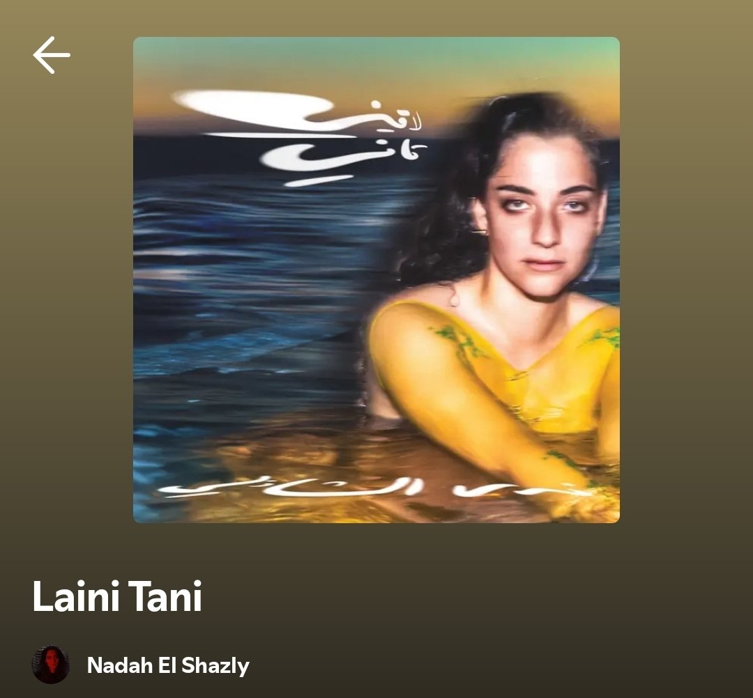 thejunebugfreak's tweet photo. also recommending people listen to Nadah El Shazly's fantastic album "Laini Tani" from 2025 as well. it's a mix of art pop, arabic music, electronic, avant folk with some trip hop. the production is exquisite https://t.co/6PutcCcGTh