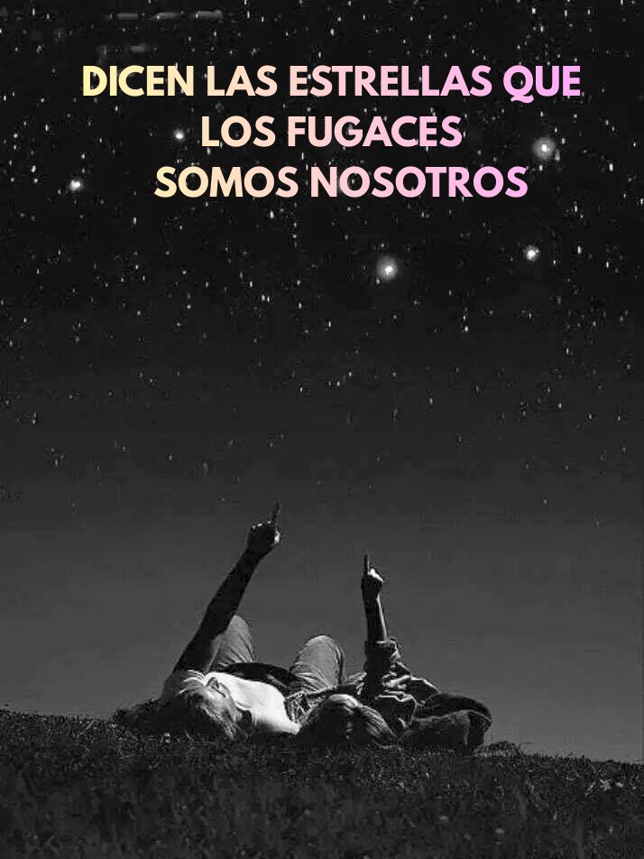 literlandweb1's tweet image. 