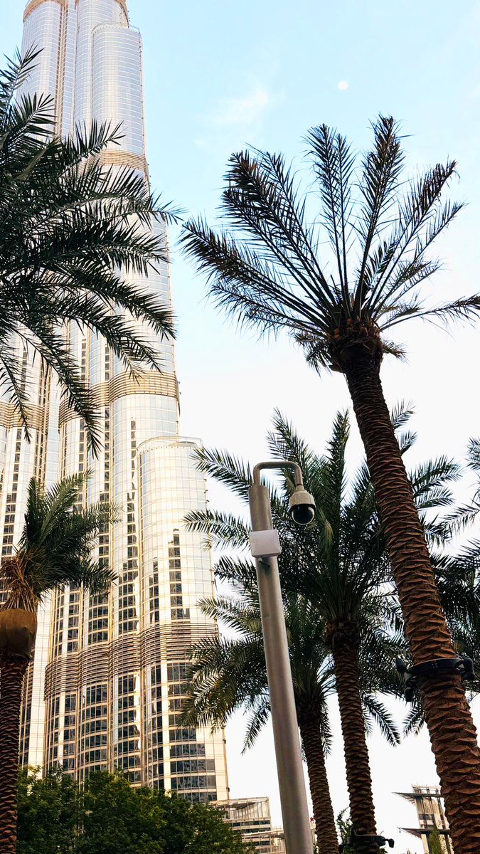 it_xtream's tweet photo. Proud to support our System Integrator with the deployment of LigoWave LigoDLB 5-20ac Point-to-Point wireless link near one of the UAE’s iconic landmarks.  

#PTP #CCTVConnectivity #LigoWave #TechnicalSupport https://t.co/bAdEa12qgz