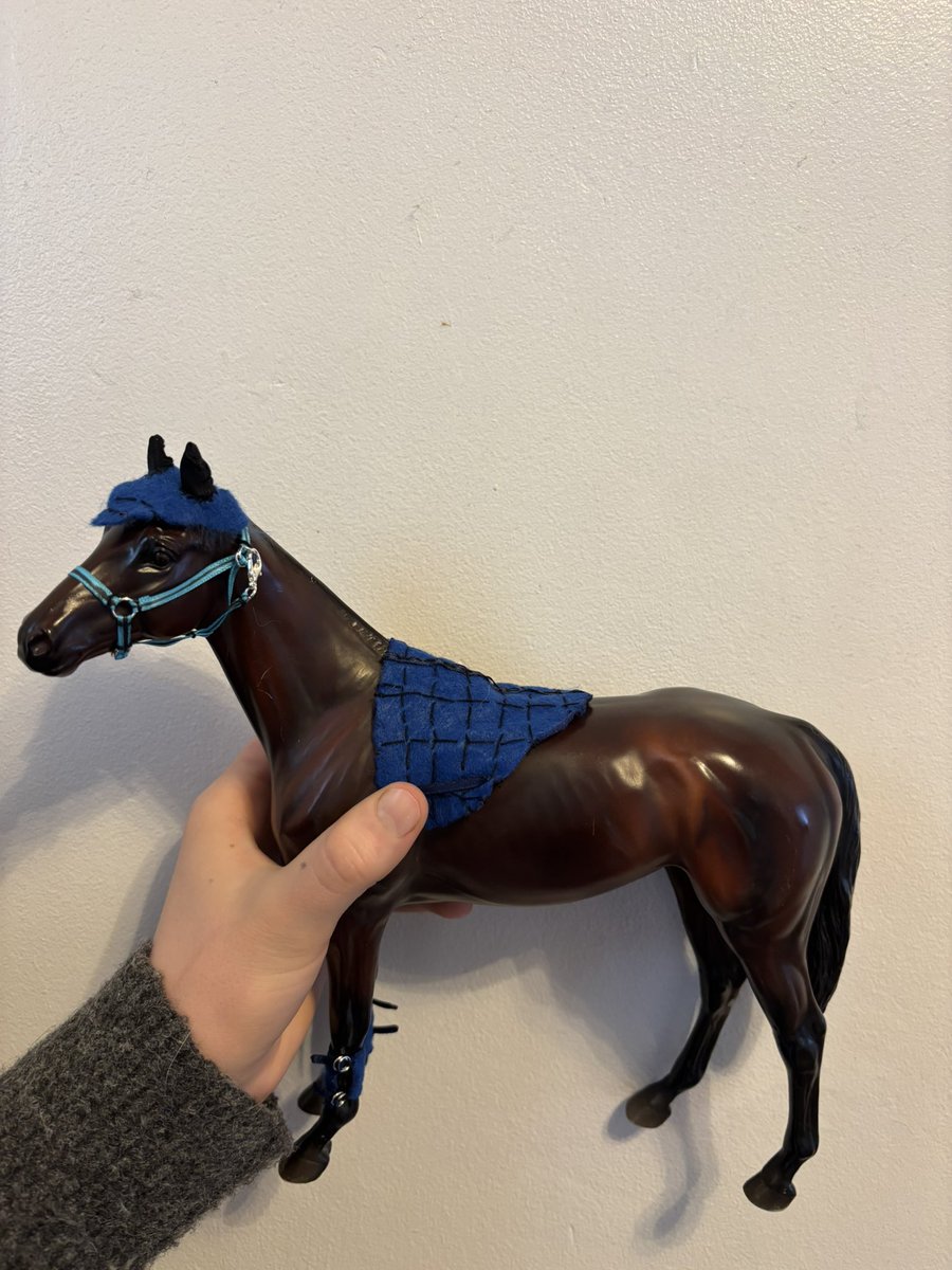 waddells74's tweet image. #crafting 🐴 💕 🥰 making 😀 head collar brushing boots saddle pad and fly bonnet 😀 for “Winx” my race horse 🏇 😀 xxx