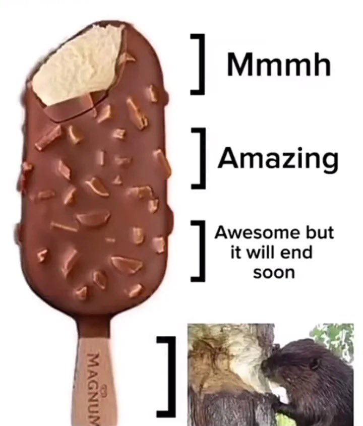 NO CONTEXT HUMANS (@humansnocontext) on Twitter photo 