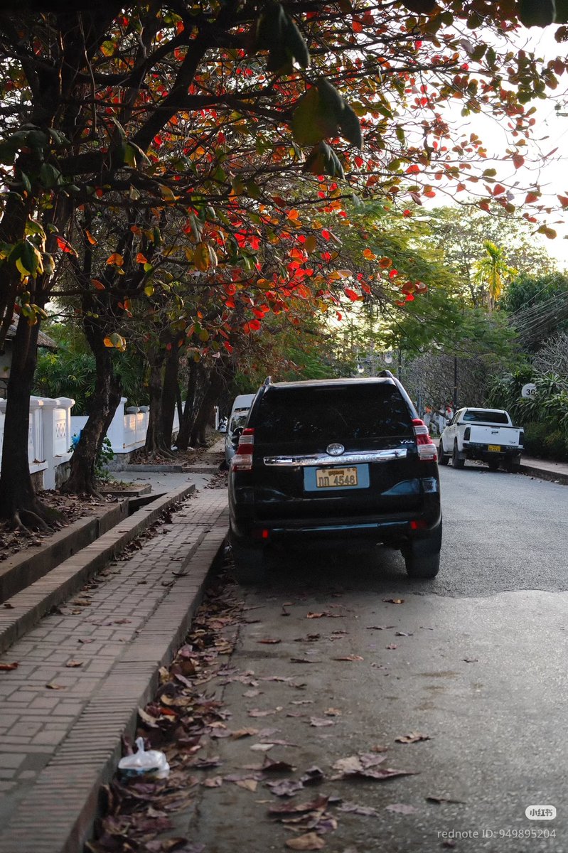 #หลวงพระบาง