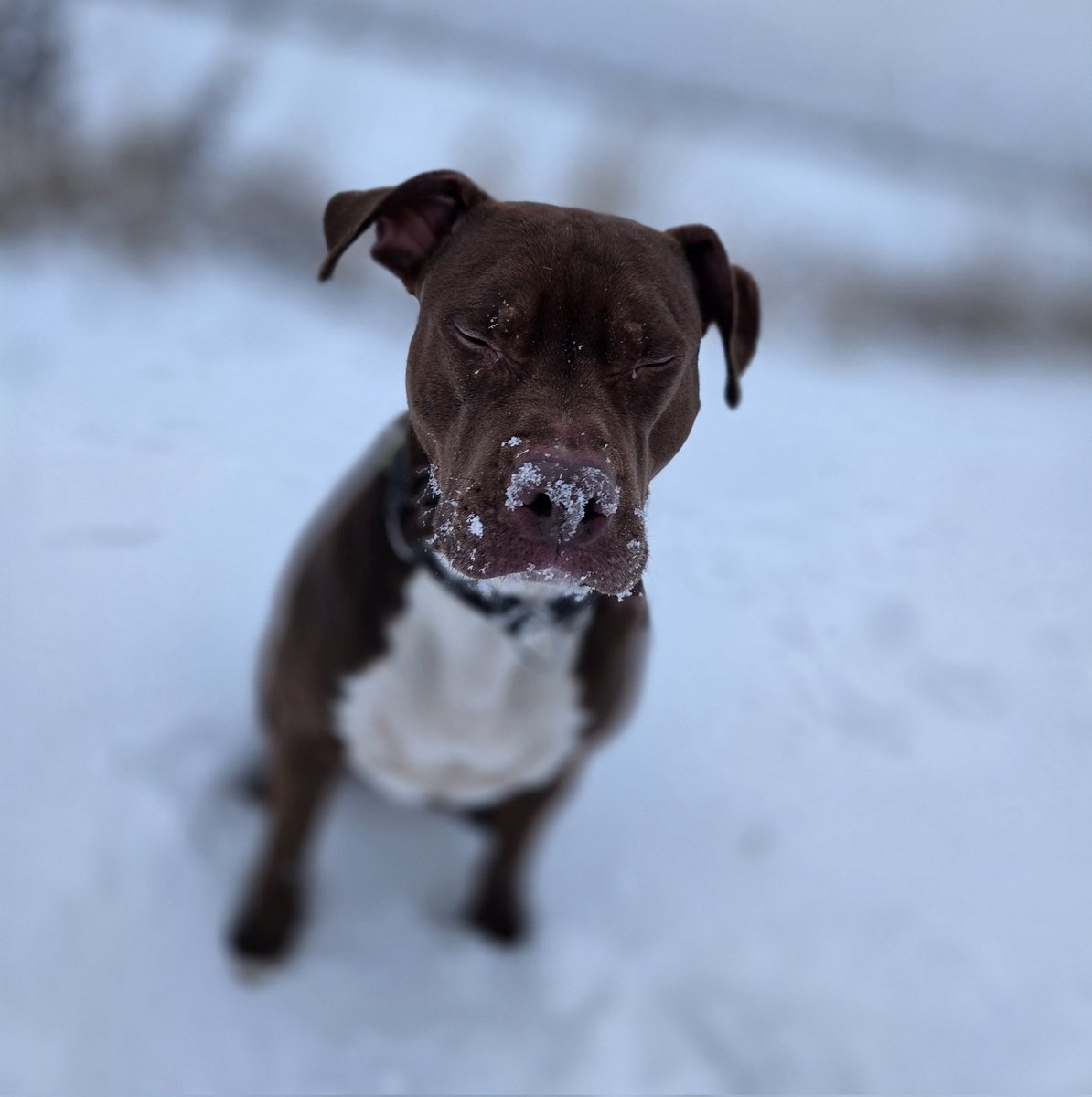 EnergyBorder's tweet image. Nike: Brrr, kalt 🥶