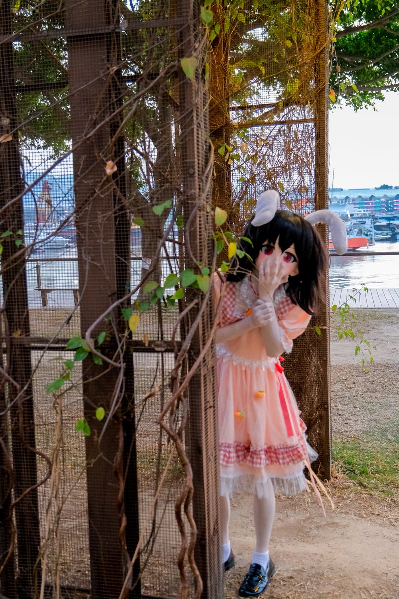Nyanko_Texas's tweet photo. 哦呀,你居然能在這裡看到我,那算你今天有大運囉~
不過,小心腳下哦~
因幡帝:本人
攝影:@sakaneko_meow
第一次私影的圖圖出來啦~可惜我是個動作廢 (oof)
#kigurumi #touhou #東方project #因幡てゐ #因幡帝 #tewiinaba #東方永夜抄 https://t.co/aIbKsIrPYt