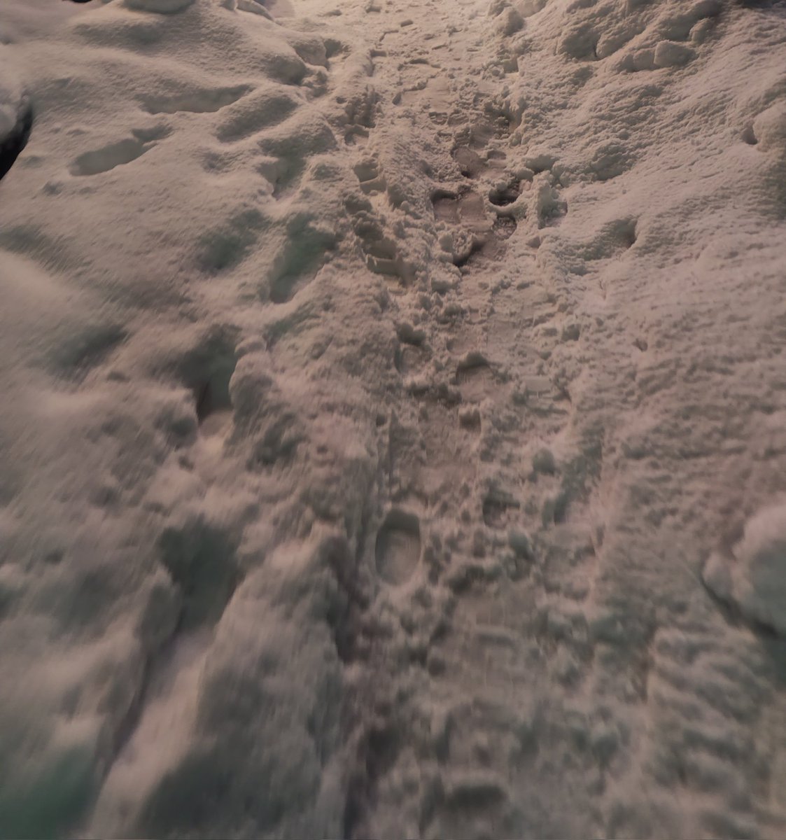 金沢最後の夜。
さっきまで大雪でしたが、隙をついてコンビニへ！
今日の夜中も降るようだし。
明日、帰れるんだろうか？