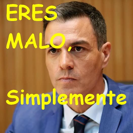 Nada más que añadir, Señoría.