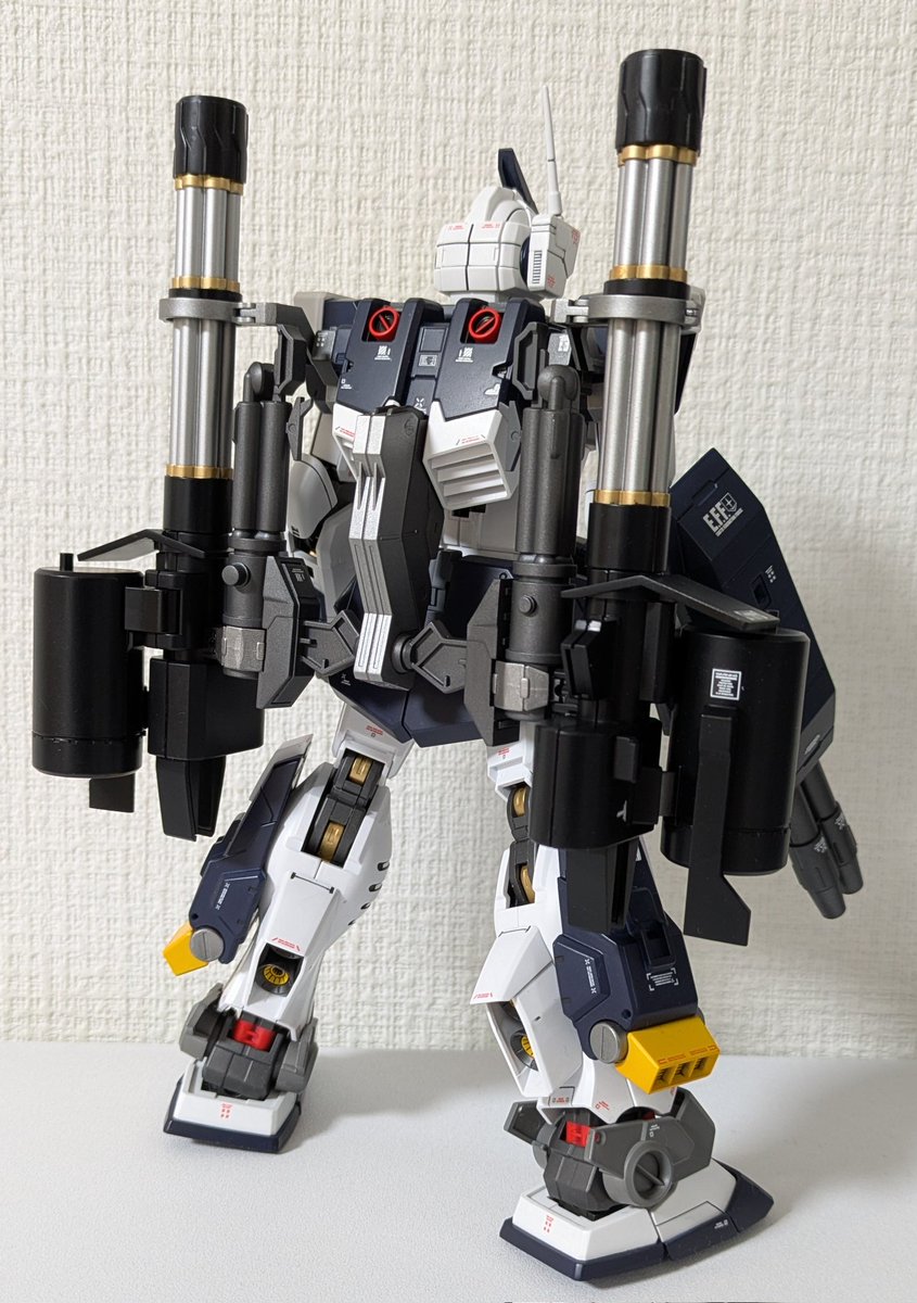 MGジム・ドミナンス〜フィリップ・フューズ機、完成しました…色んな