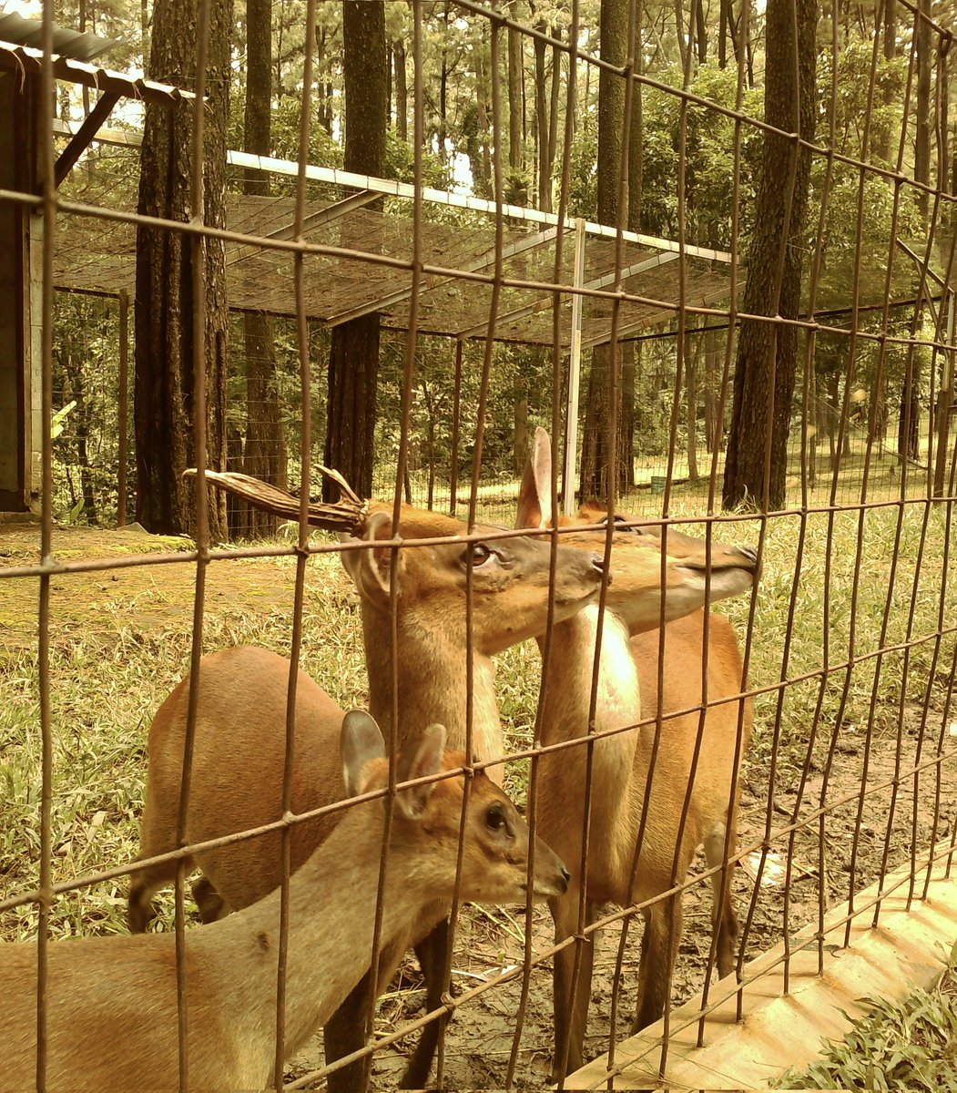 AAAAA LOV U MA DIGICAM😘