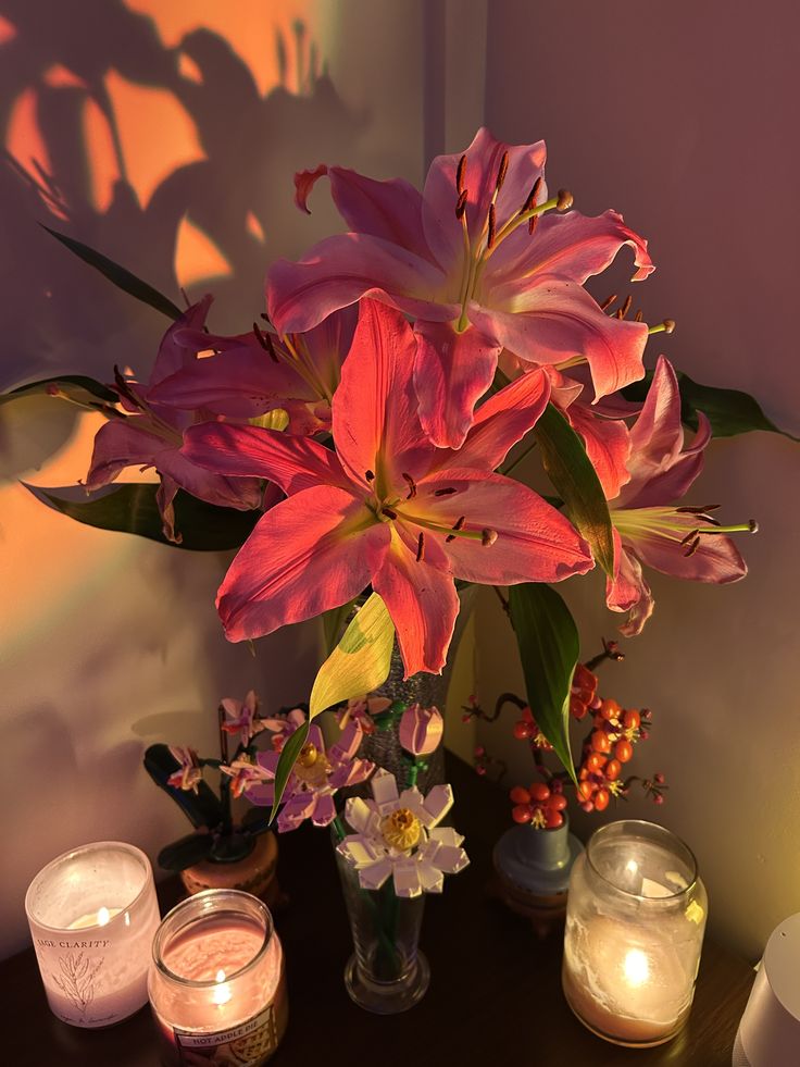 Bloomify tweet media