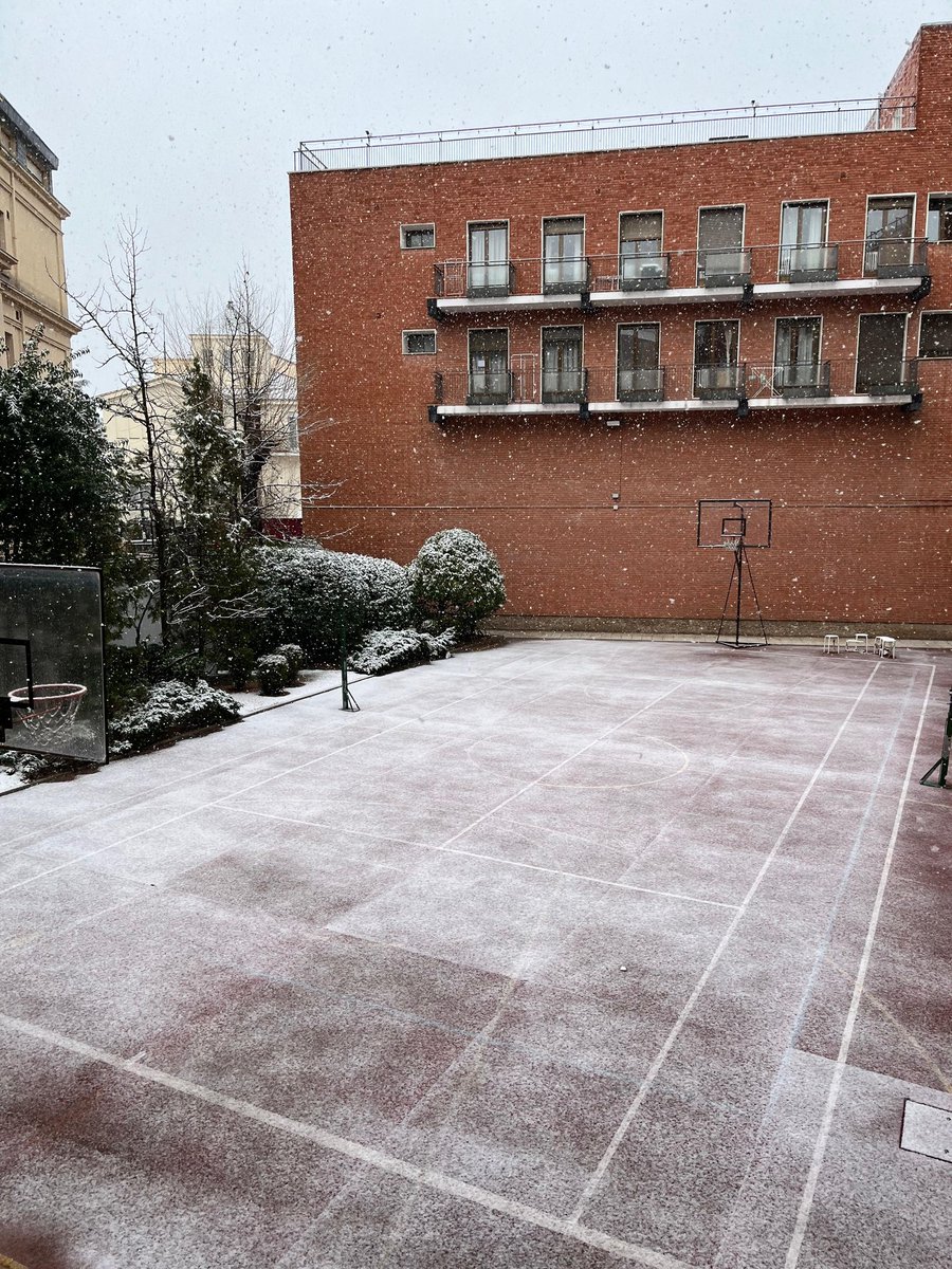 Colegio Mayor Berrospe tweet media