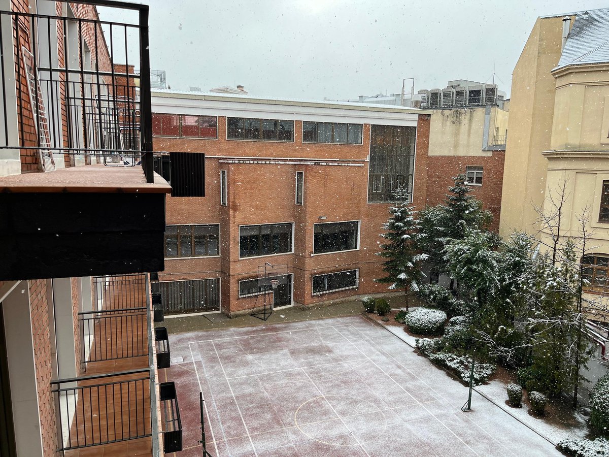 Colegio Mayor Berrospe tweet media