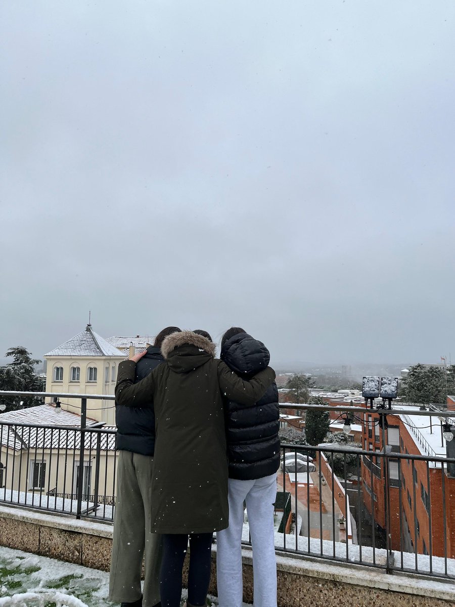 Colegio Mayor Berrospe tweet media