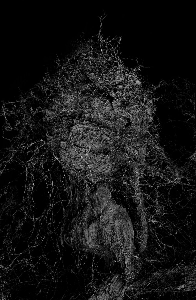 kikoh_matsuura's tweet photo. 'Withered Plant'
Scanning Electron Microscope
No.746
Image width: 1.49mm
Archived DOI: 10.5281/zenodo.18217826
#kikohmatsuura
#witheredplant
#scanningelectronmicroscopy
#sciart https://t.co/74YbHpVtN1
