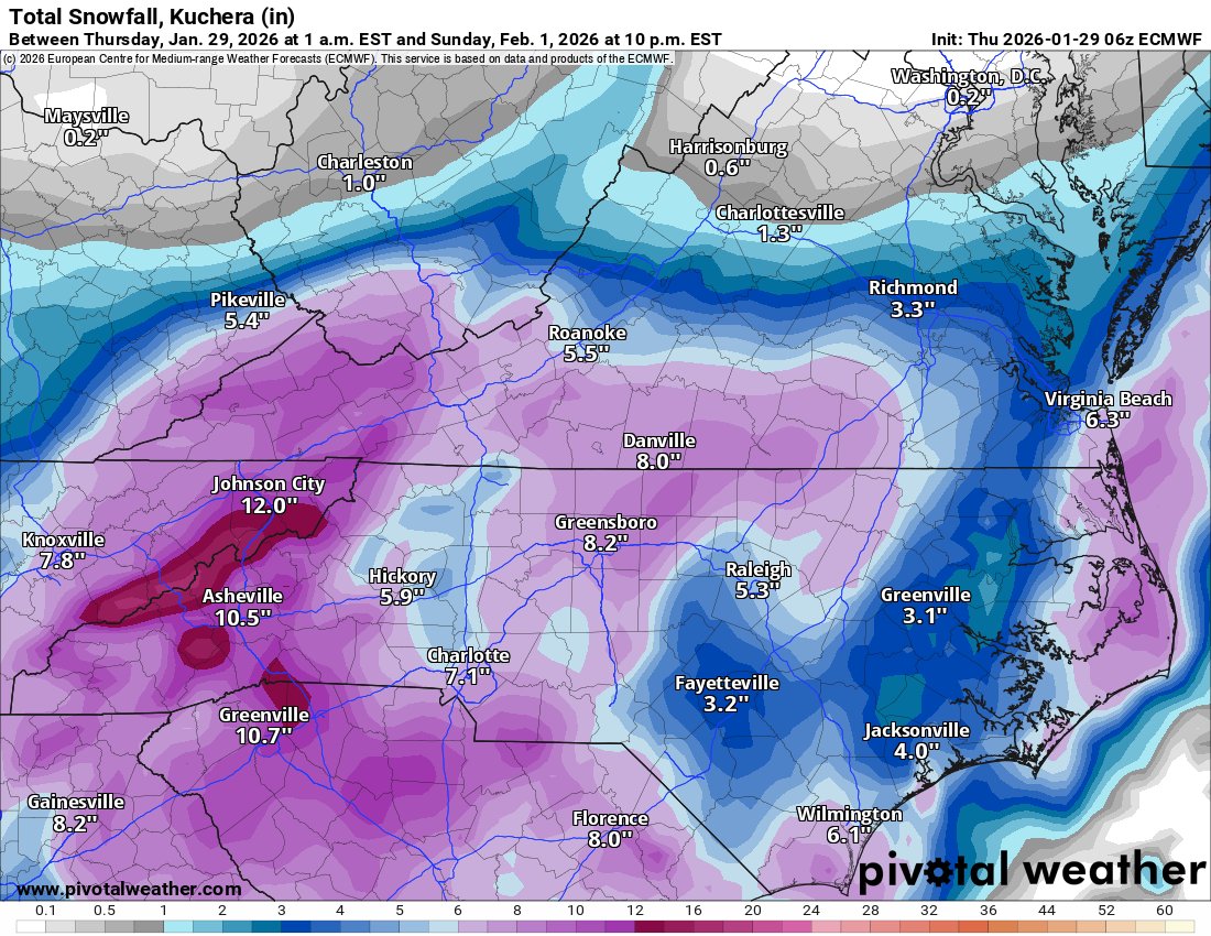THE INTERNATIONAL GRAPH IC 雪舟、雪村 Fluff McGruff the Snow Dog