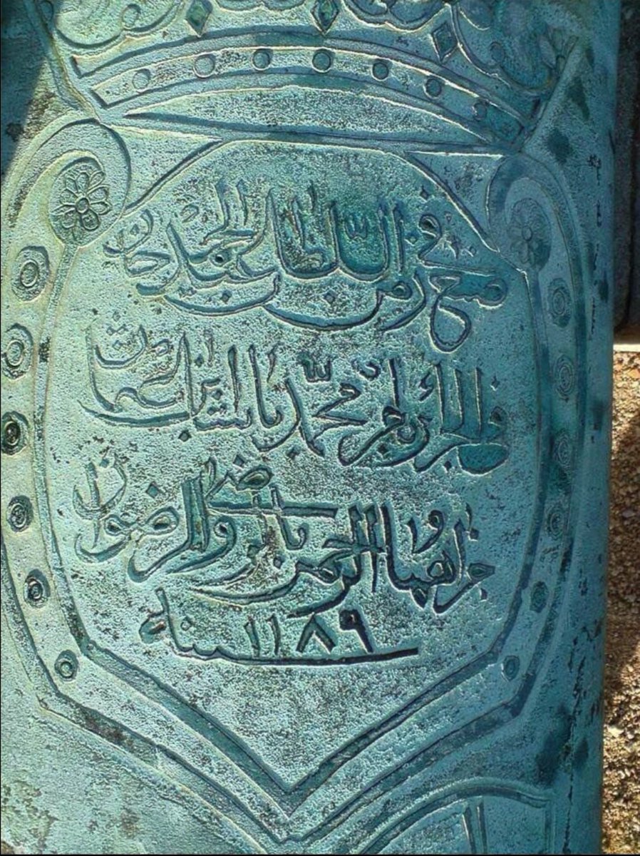 Taaouss 🦚 tweet media