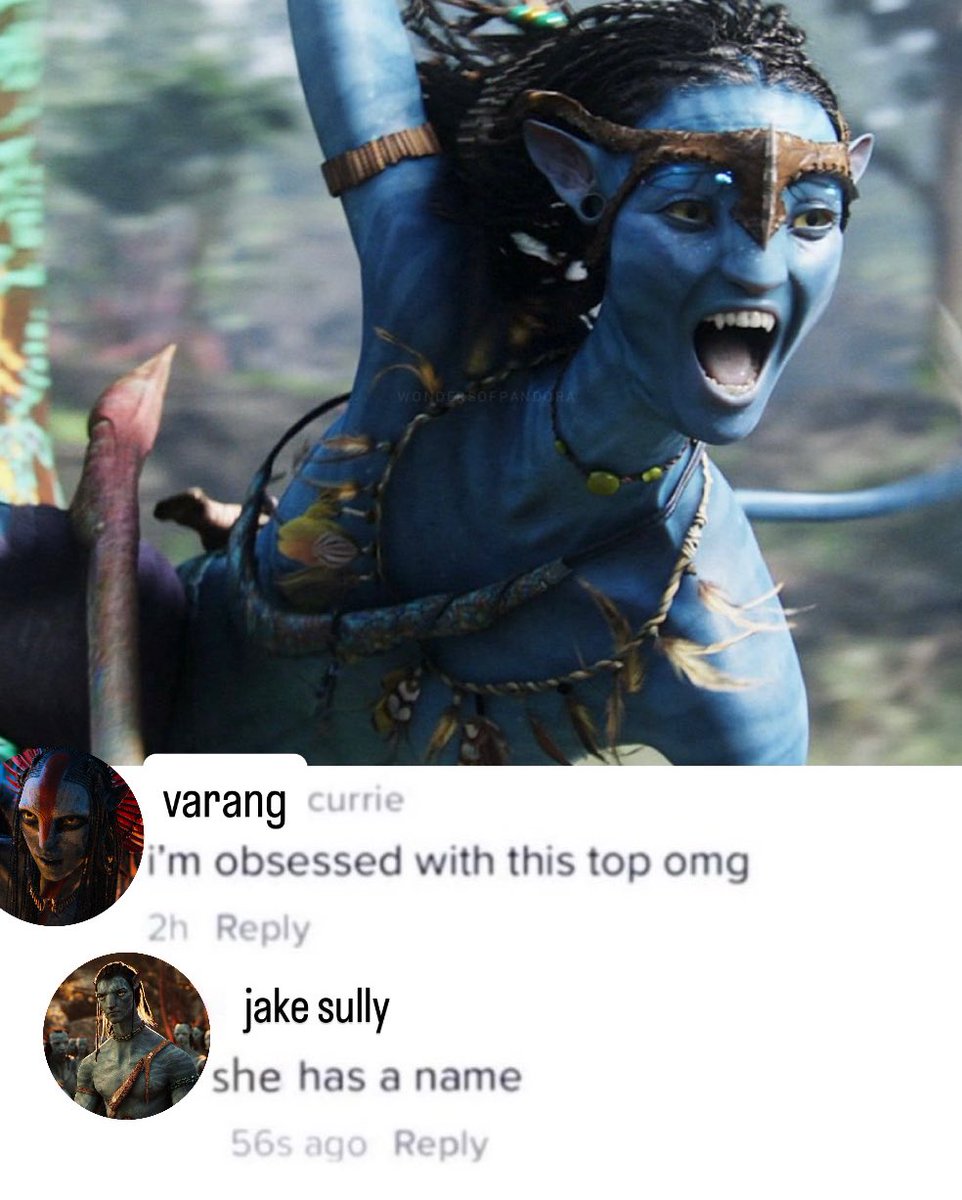 jake’s top has a name and it’s neytiri