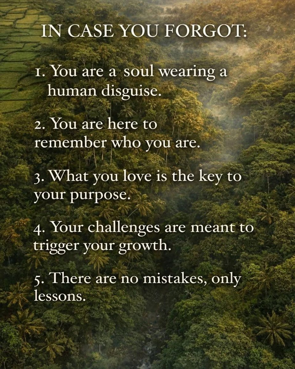 JohnWolf1239's tweet image. A reminder;