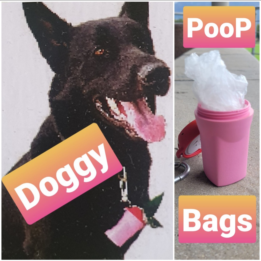ecominibins's tweet image. One of the most popular uses of the multi-purpose Eco Mini Bin keyring is 4 Doggy Poop Bags Get yours at selected @TheCrazyStore branches for only R50👍🦮
#SouthAfrican #poopbags #dogessentials #dogsoftwitter #dog #dogwalking #ecofriendly #dogwalking #sustainability #SouthAfrica