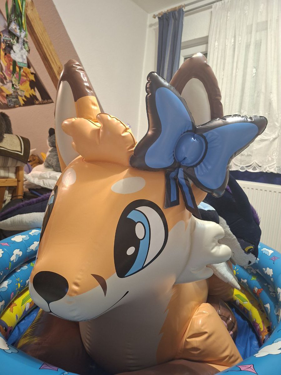 SchorseWolf's tweet image. My order from @AmsterdamShosu just did arrive. They put in an inflatable bow as a gift.
And it just fits my Jack fox from @FluffPuffGer perfectly.

#fox #inflatable #pooltoy