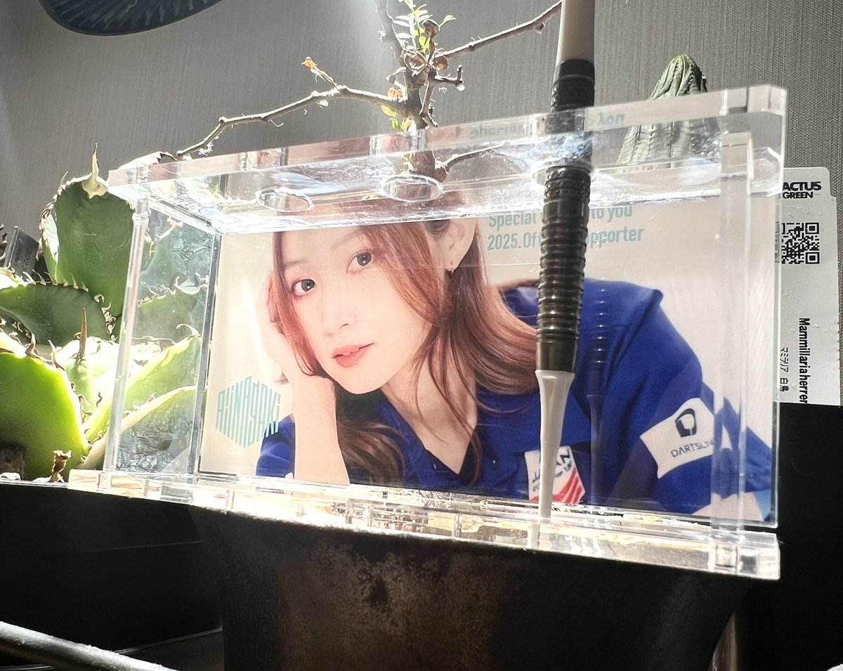 稲垣亜衣 (@inagaki_ai) / Posts / X