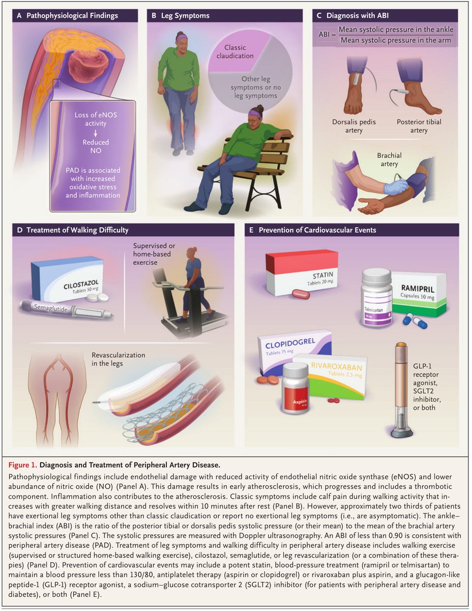 Medicina Interna HCSBA tweet media