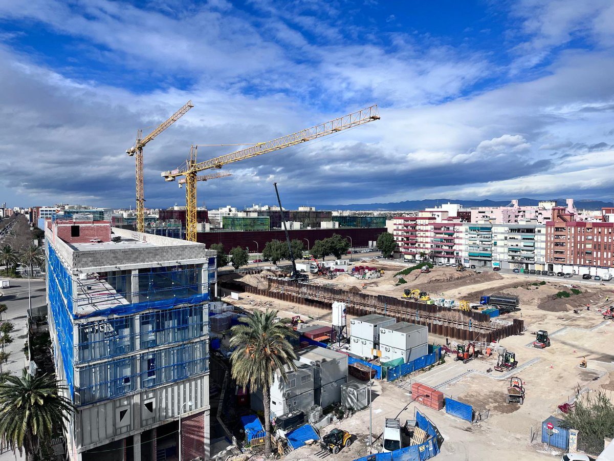 María José Catalá tweet media