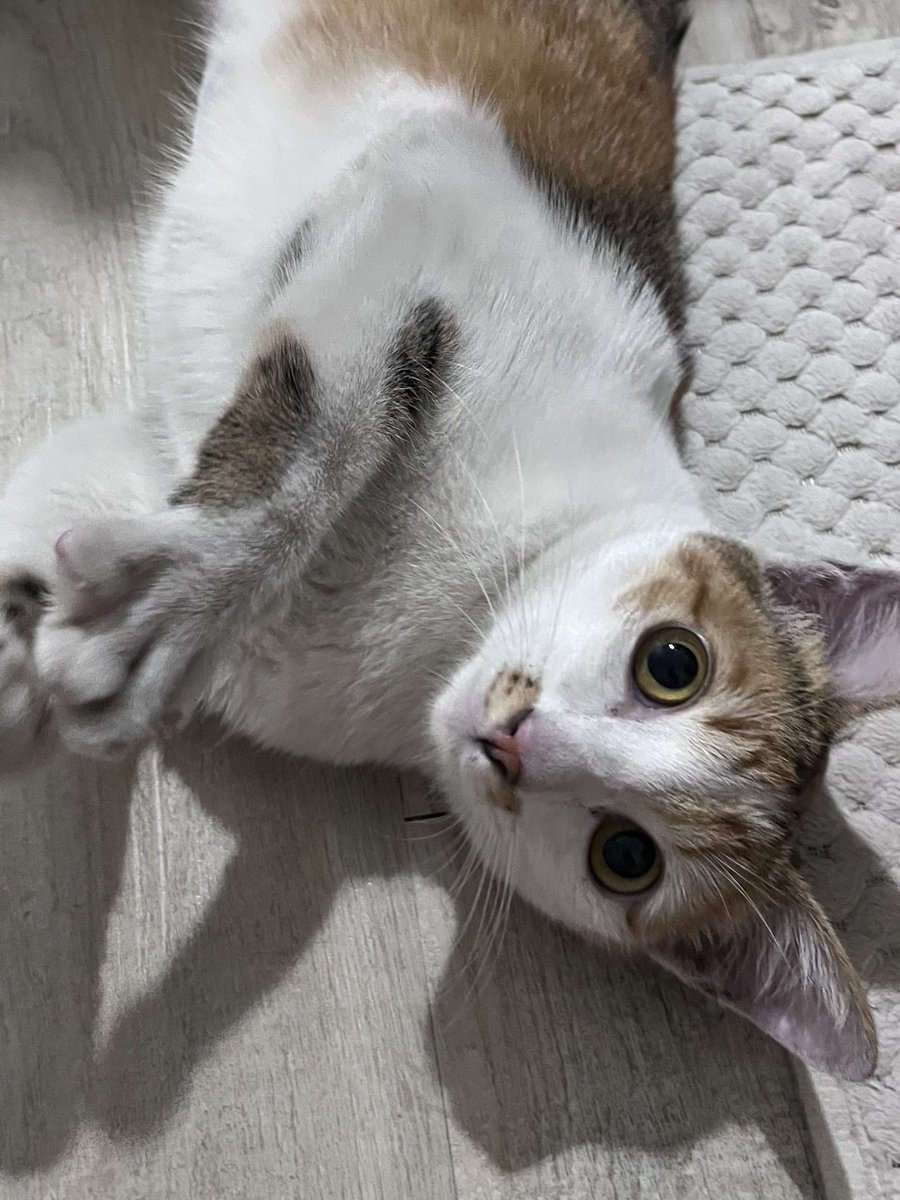 พามะแขว่นมาแนะนำตัวค่า