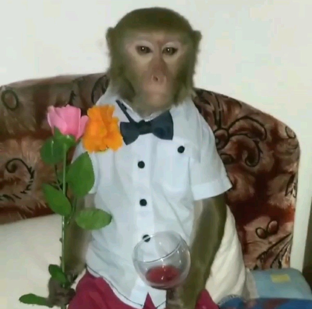 hsangelus's tweet image. #2inMelbourne