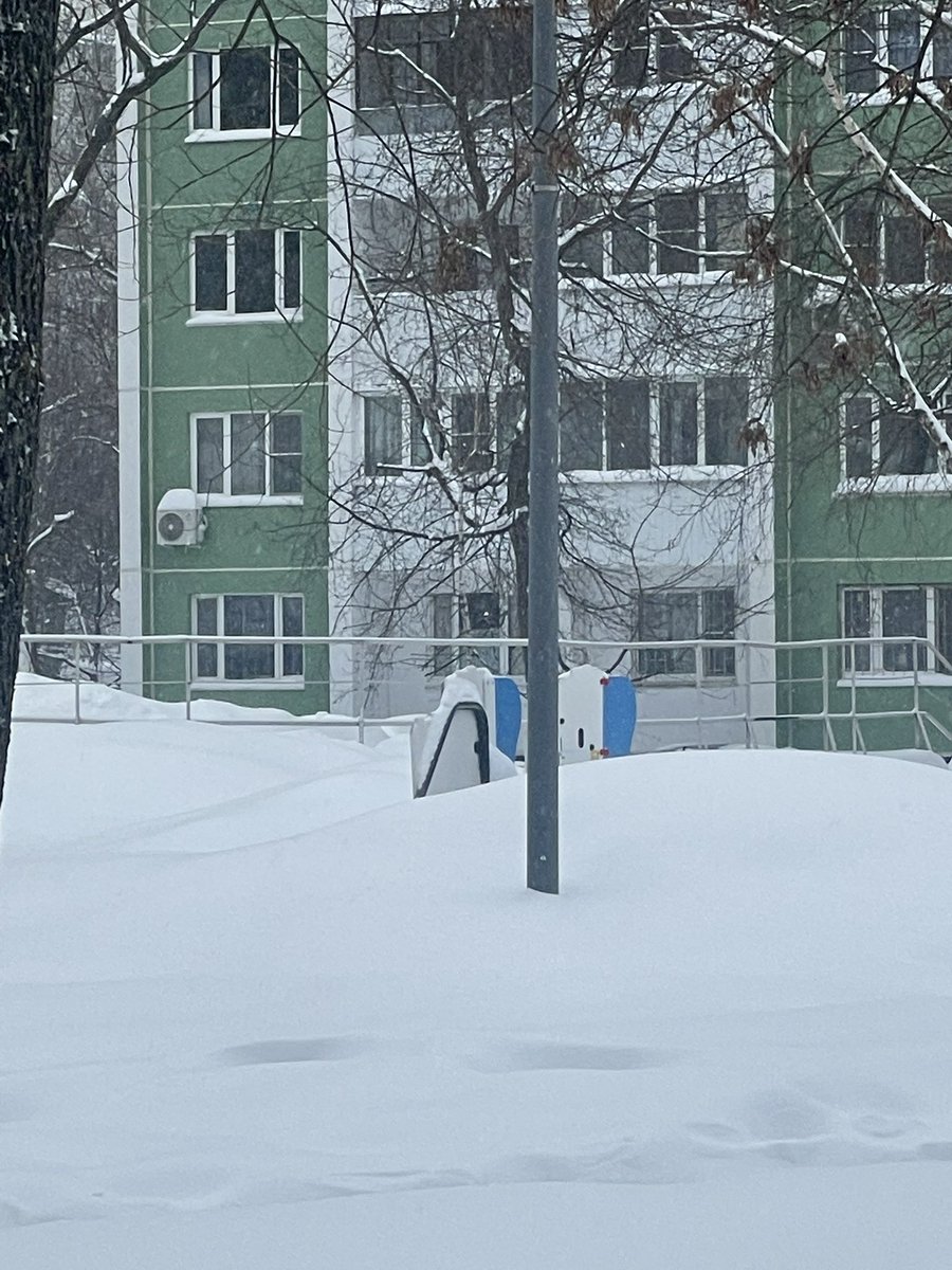 tsk5hm's tweet photo. TODAYS SNOWFALL IS CRAZY https://t.co/D9kO3uZjvZ