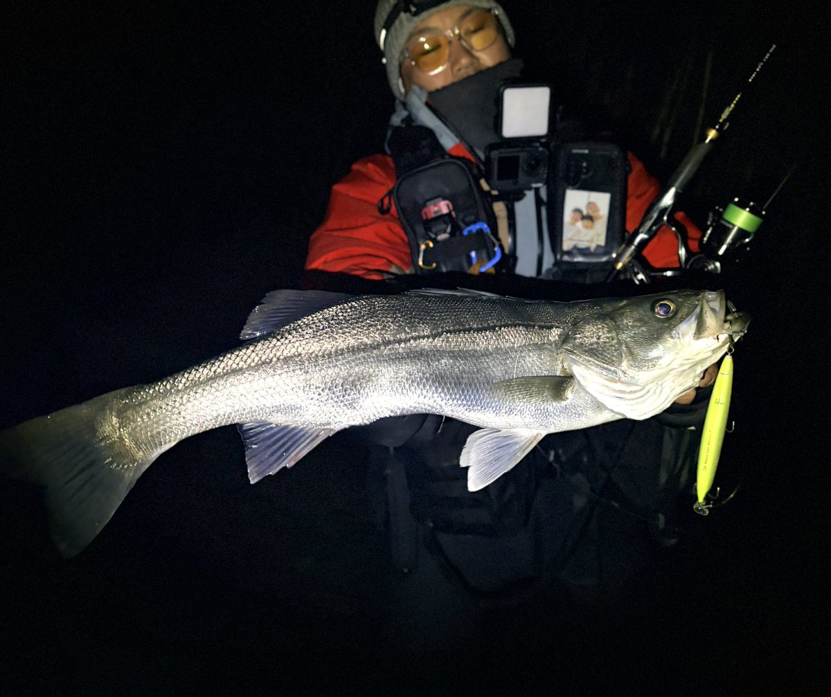 中馬貴寛 tweet media