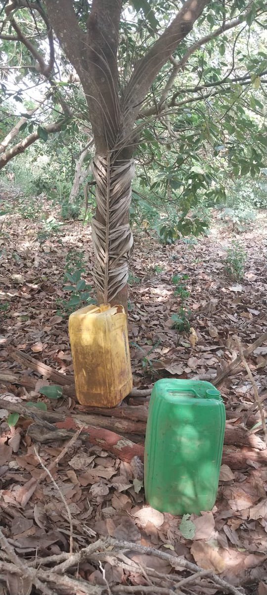 E-extensionist tweet media