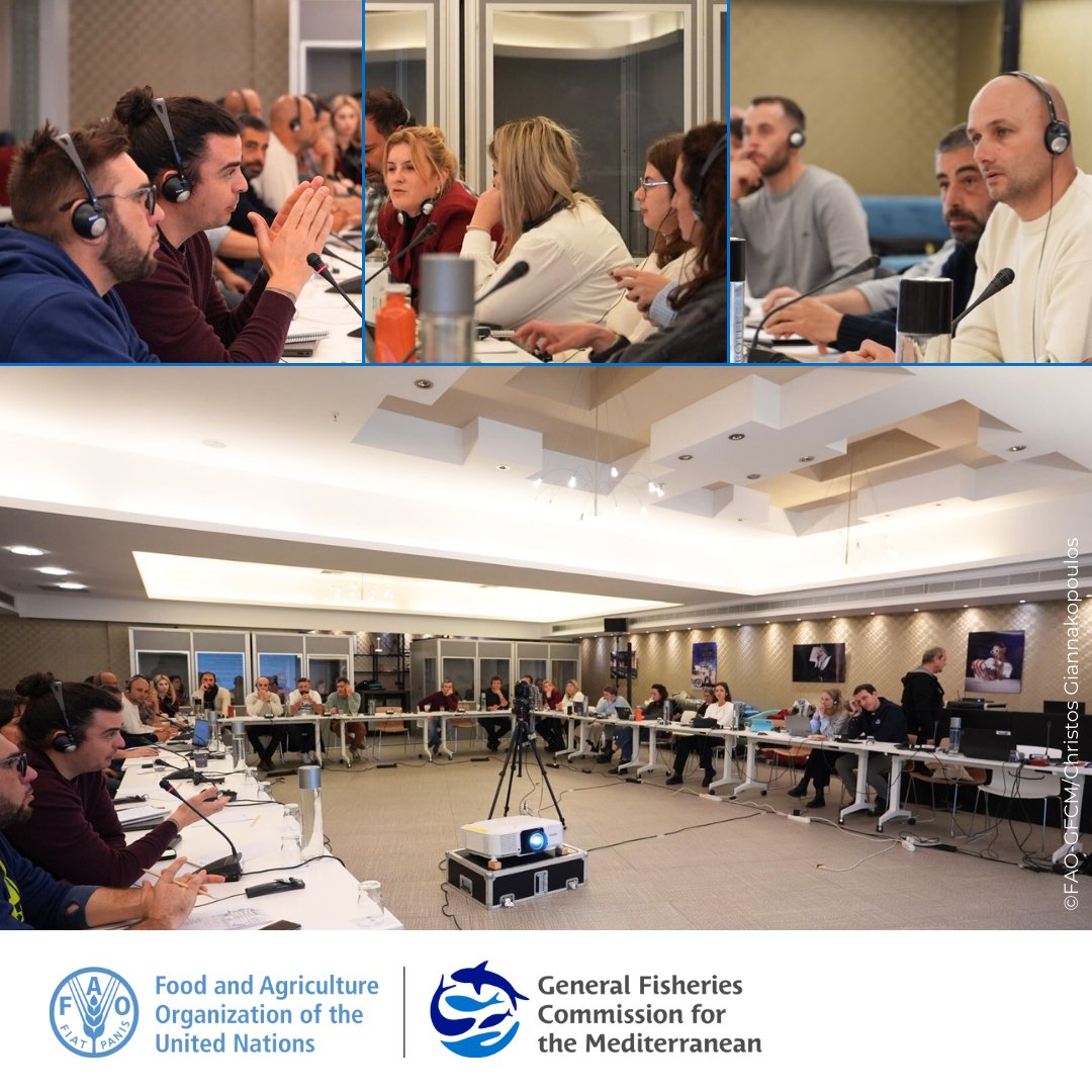 UN_FAO_GFCM's tweet photo. Conversations are in full swing at the #SSFForum

Young small-scale fishers and fish workers from the #Mediterranean &amp; #BlackSea region are exchanging perspectives, debating national realities and discussing leadership, diversification &amp; opportunities.
#NextGenFishers https://t.co/BpdOyrMMeM