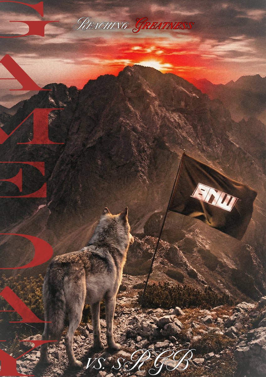 Black N White E-Sport tweet media