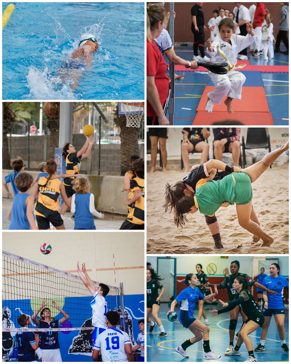 DXTenerife's tweet image. Los XXXIX Juegos Cabildo han programado para el último sábado de enero seis modalidades deportivas, dos de ellas de estreno #natación y #taekwondo

📲 Más información: bit.ly/3Od62yU

#JuegosCabildoTF #ActivaTuVida #PersonasActivas