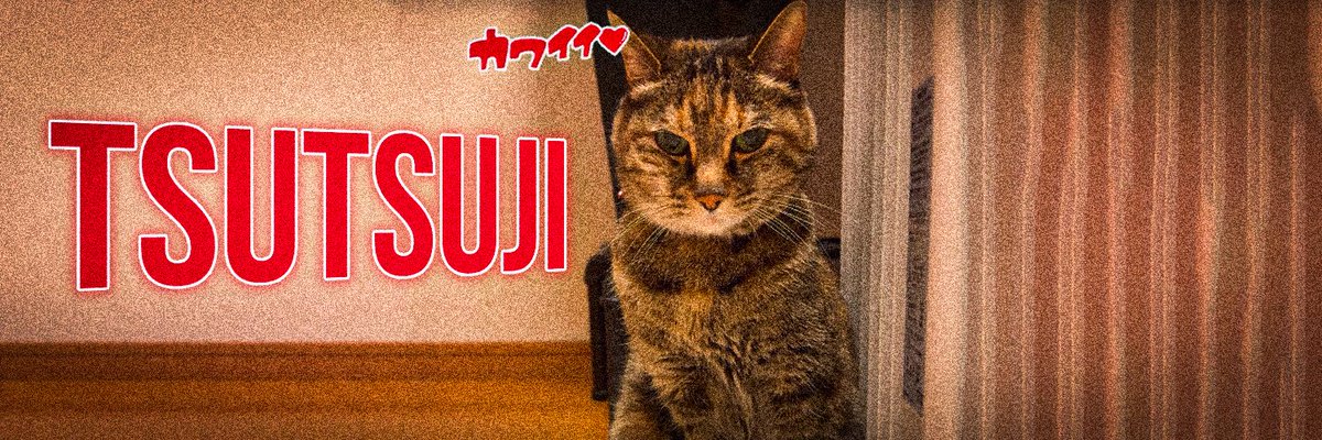 Tsutsuji is a cat that is owned by @kabosumamaon IG and just got posted.

Kabosu and Neiro went multi 100M, this cat should truly go

CA: E4CKGKubNhuEoprDkDqv4mRyaVSYB5V4vU741smNpump

Making a website and a twitter page rn