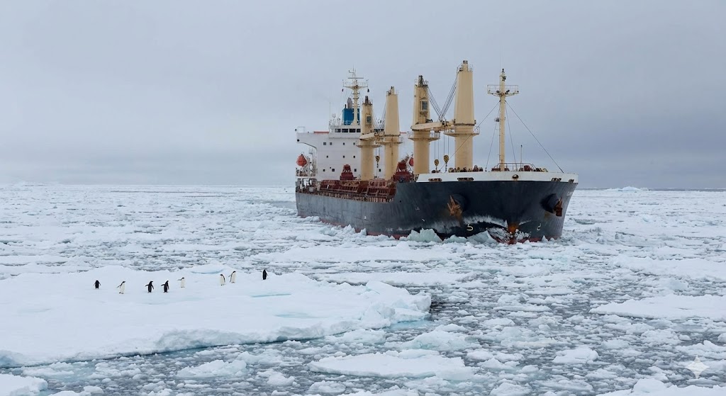 MerchantnavyJob's tweet photo. Are you ready for the Polar Code? ❄️🚢
Basic and Advanced Polar Waters Training (APW) is skyrocketing.

Get certified and open up new job opportunities.

👉 Find Polar Code Courses: https://t.co/fPaiN3ORxz

#PolarCode #ArcticShipping #MaritimeSafety #STCW2010 https://t.co/fmZdypzcNh