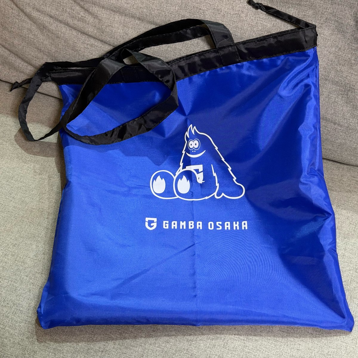 ガンバ大阪ファンクラブ「U-18コース」（息子分）の「選べる共通特典