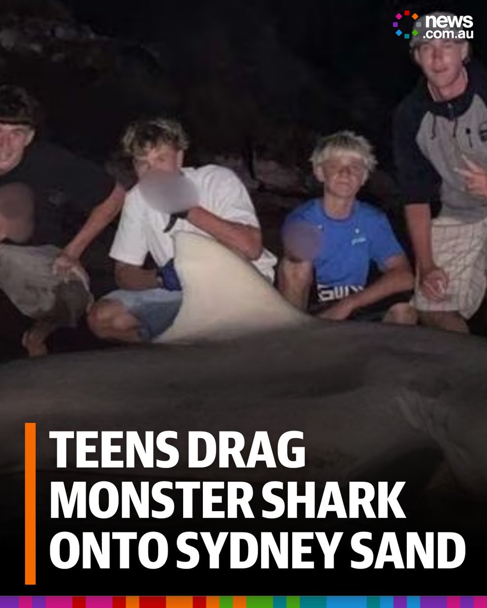 Sydney teenagers have caught a three-metre bull shark as experts warn warming oceans will extend shark seasons. Full story: bit.ly/3ZAyddI