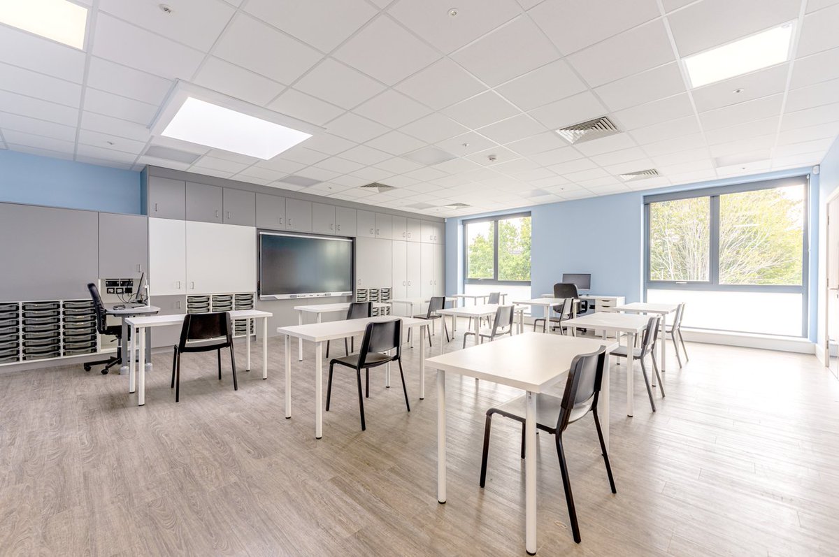 Lungfish tweet media