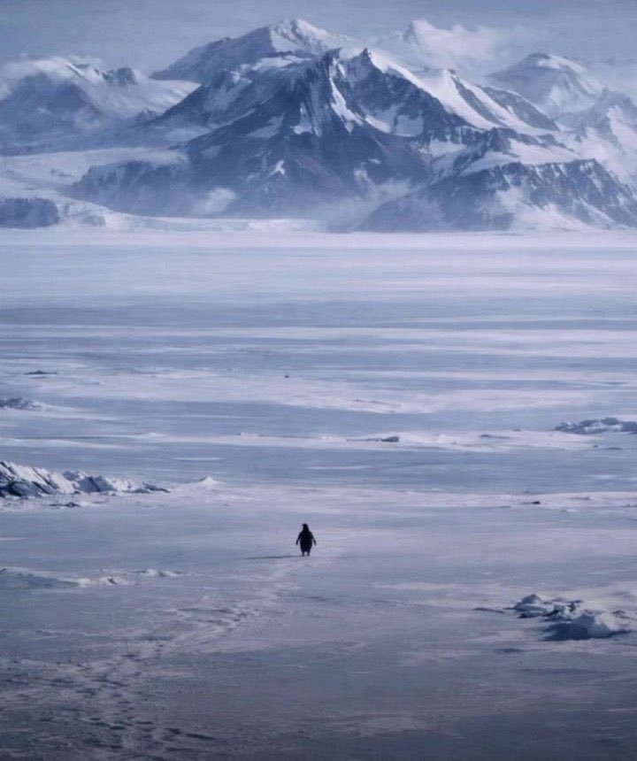 Lucha Libre Rebelión tweet media