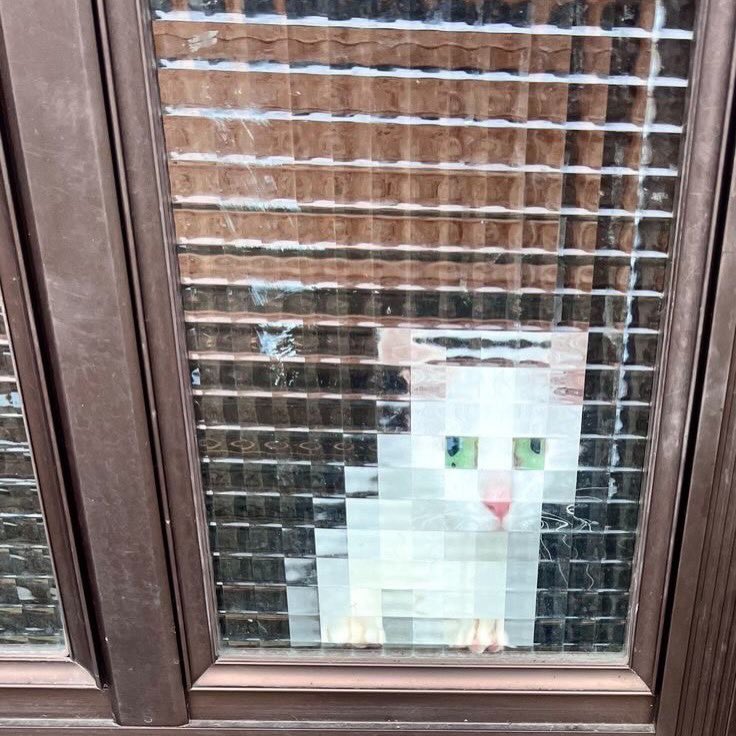 poorly drawn cats (@poorlycatdraw) on Twitter photo 