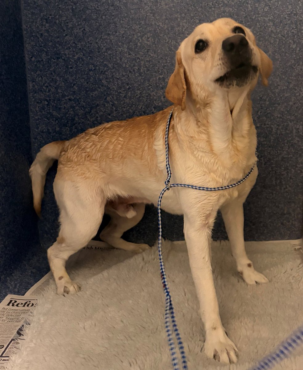 Sussex News - Breaking news for Sussex tweet media