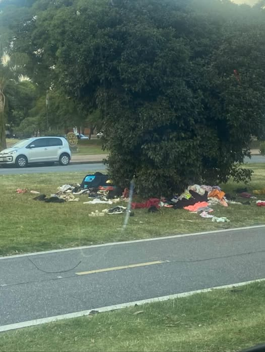 ⏩Parque Batlle: El Fa-Pit con sus ideales progresistas ,fue, es y será siempre la causa de absolutamente todos los problemas del país.