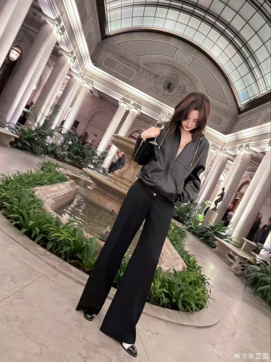 2026/01/29 • ©辛芷蕾WEIBO

Xin Zhilei shares new snaps