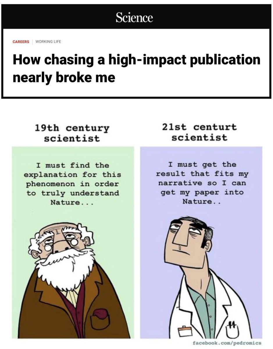 Andrew Akbashev tweet media