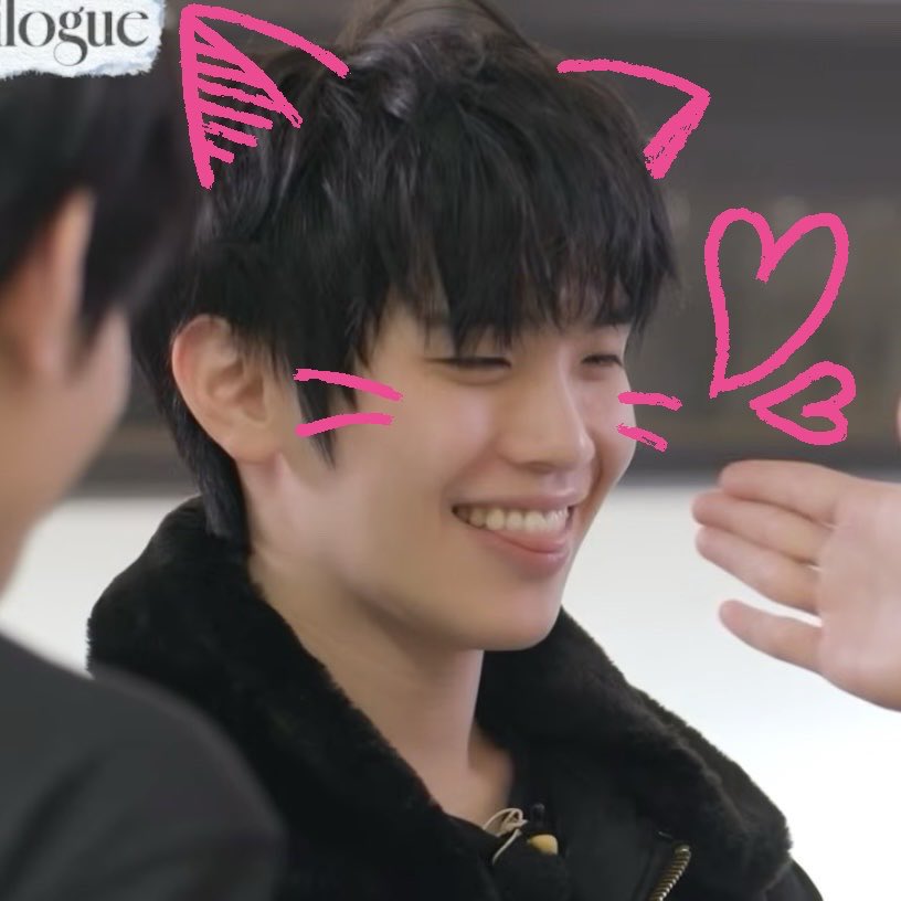 😽탤냥😽