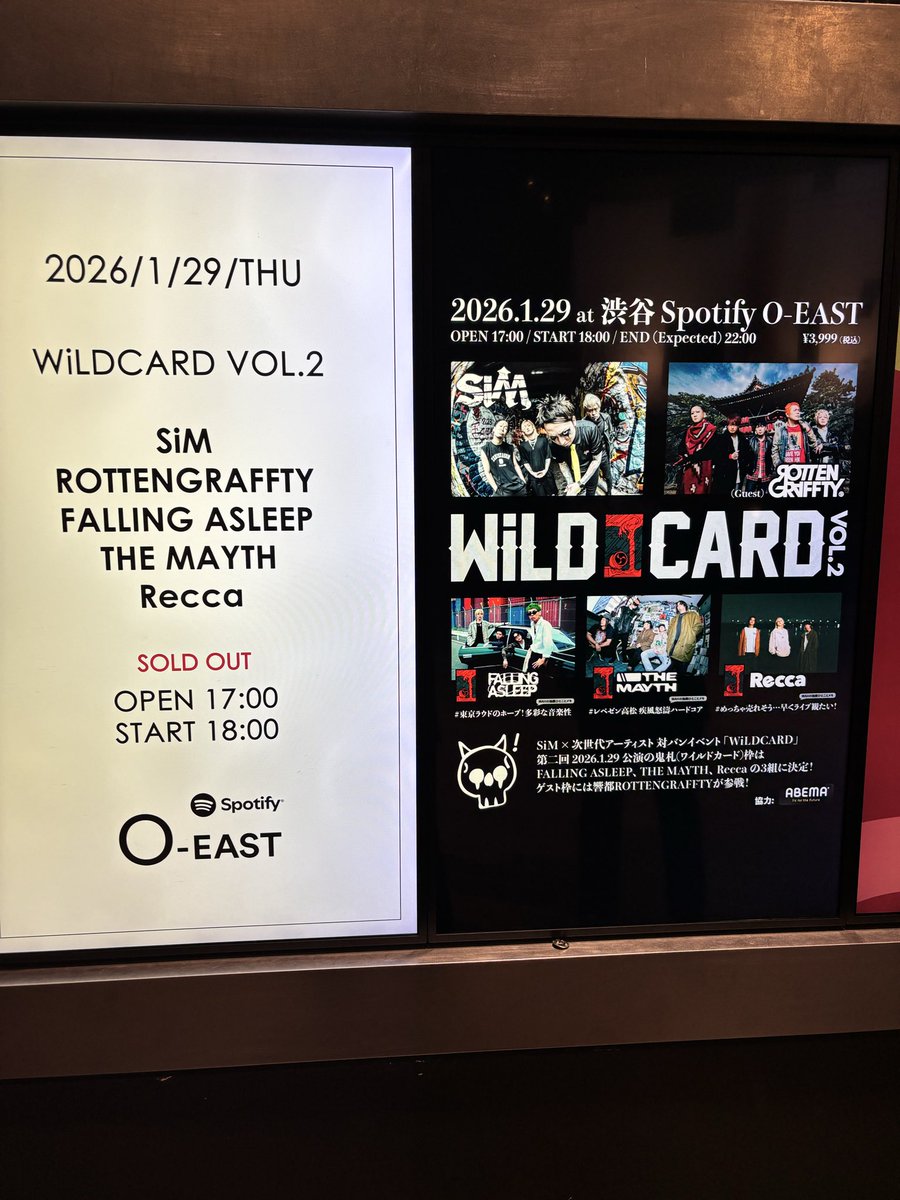 the Fuzz CDセット JILS Vasalla 舜 舜/ the FUZZBOX